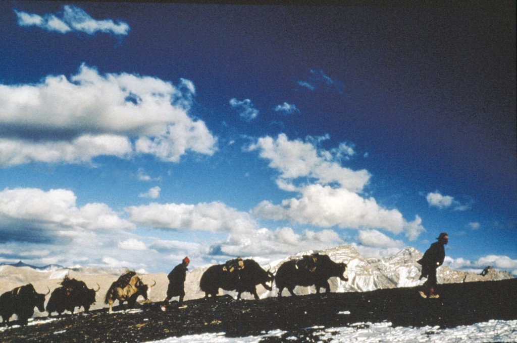 Himalaya – l’infanzia di un capo