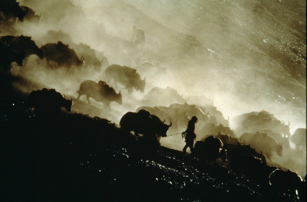Himalaya – l’infanzia di un capo