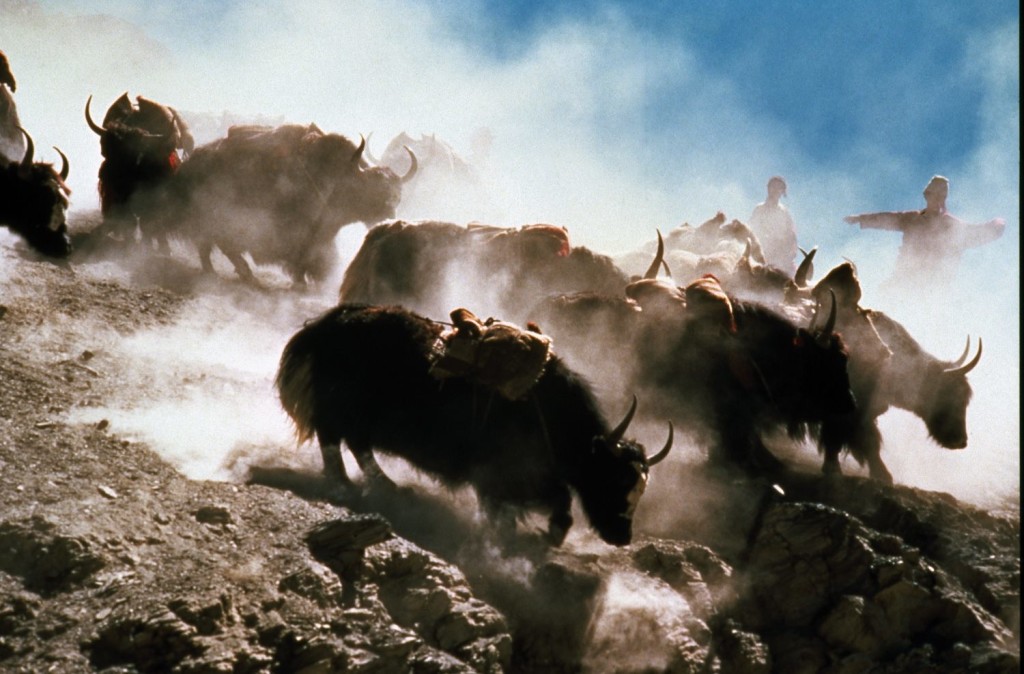 Himalaya – l’infanzia di un capo