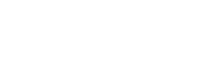 La marcia dei pinguini