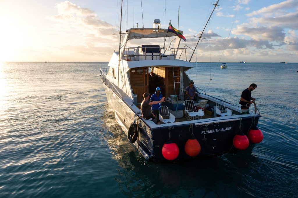 Serenity – L’isola Dell’inganno