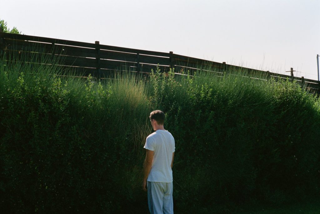 Dogtooth