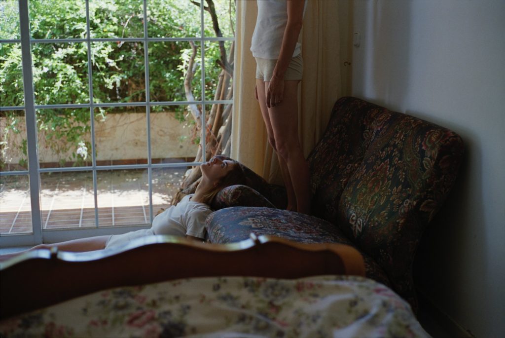 Dogtooth
