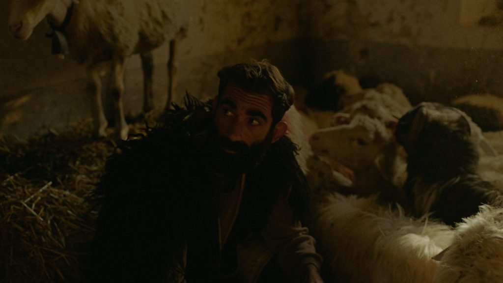 Assandira
