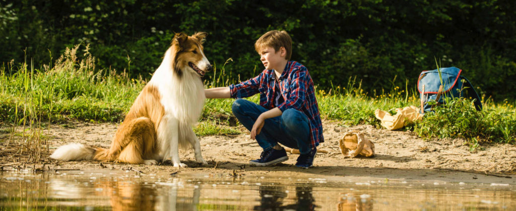 Lassie torna a casa