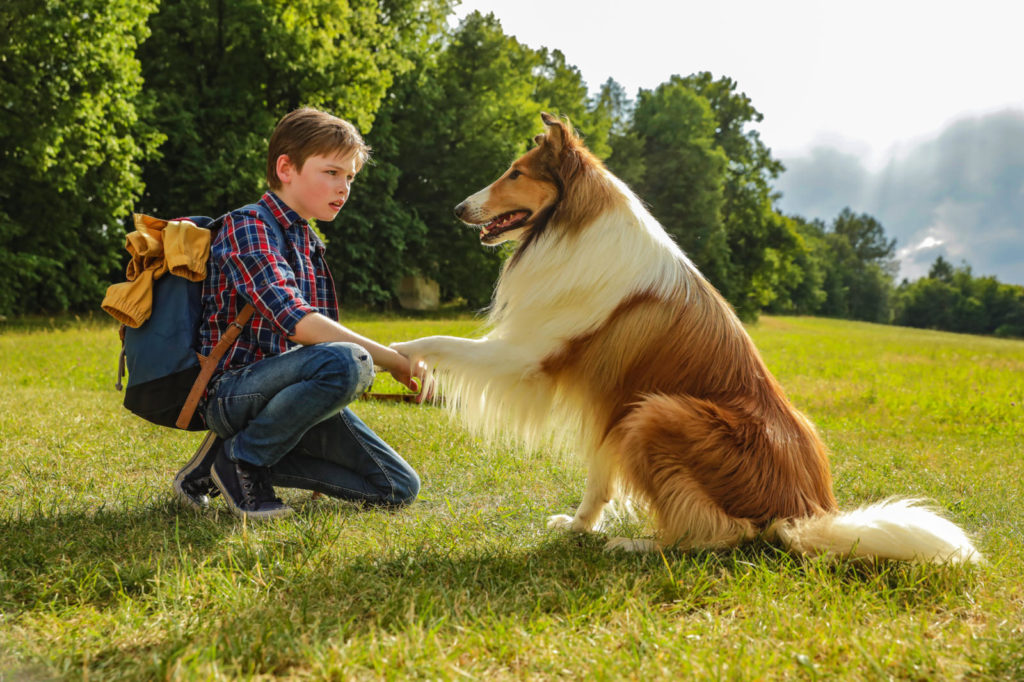 Lassie torna a casa