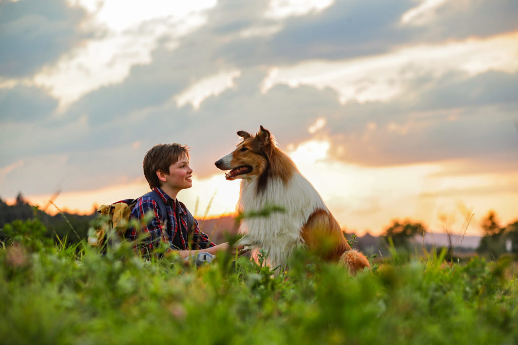 Lassie torna a casa