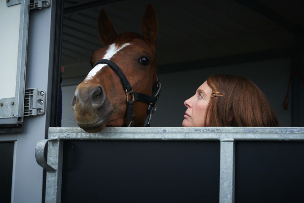 Dream Horse