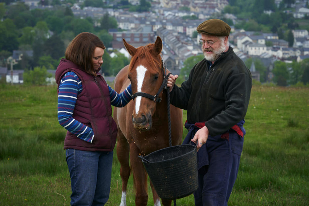 Dream Horse