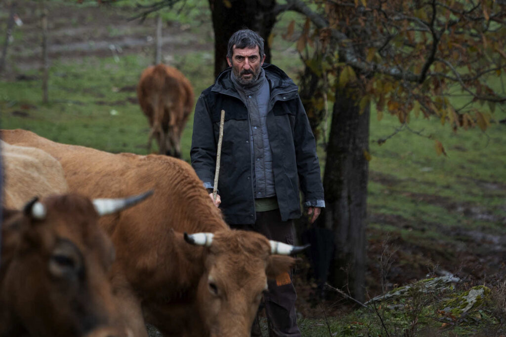 As Bestas – La terra della discordia