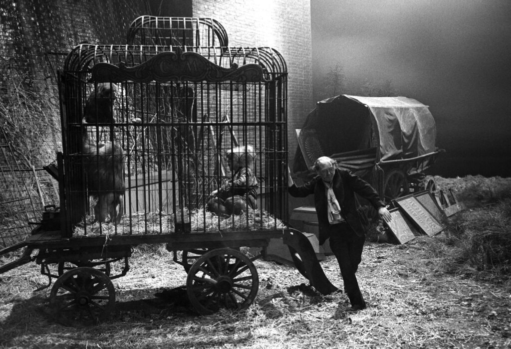 The Elephant Man 4K